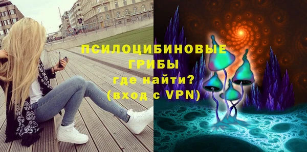 mdma Богданович