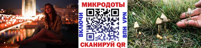 купить  цена  Мариинский Посад  Псилоцибиновые грибы Magic Shrooms 